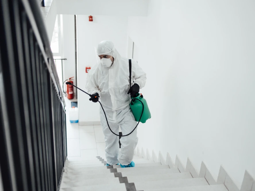 Workplace Hygiene Promotion